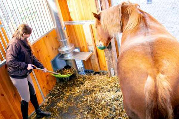 Neue Pferdemistabsaugung von NESTRO