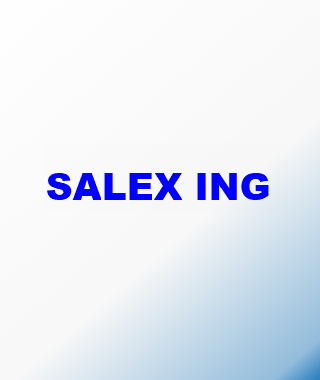 SALEX ING